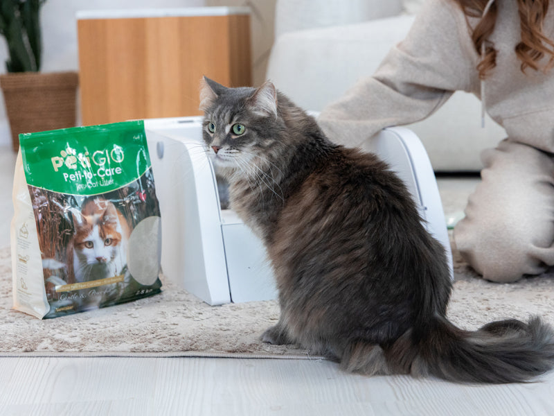 Tofu Cat Litter – Unscented