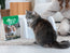 Tofu Cat Litter – Unscented