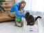 Tofu Cat Litter – Unscented