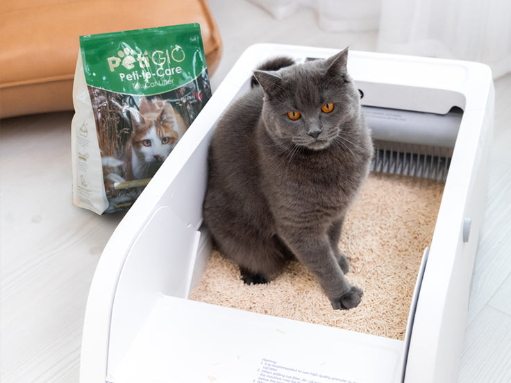 Tofu Cat Litter – Unscented