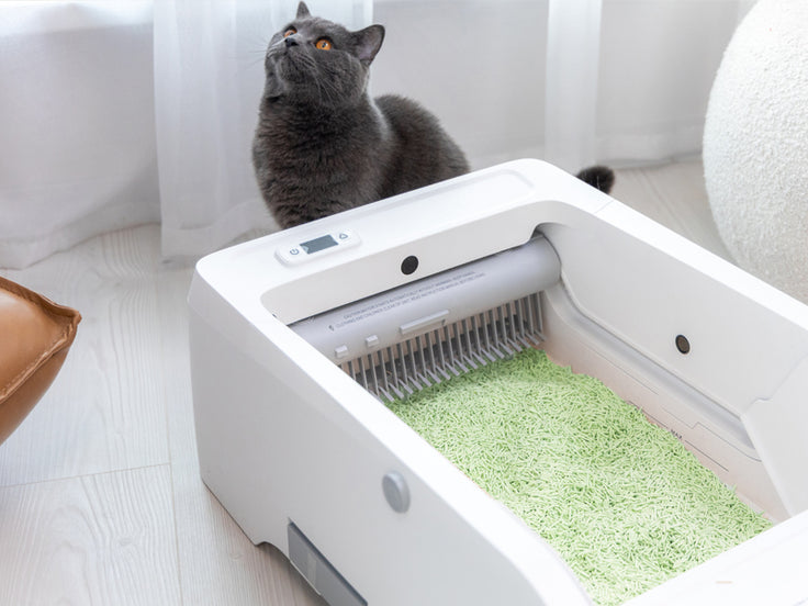 Tofu Cat Litter – Green Tea Scent