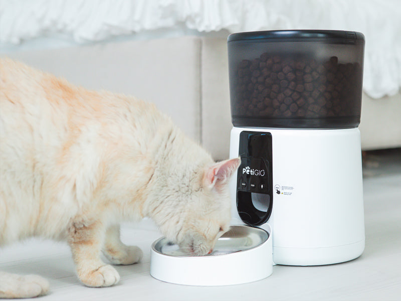 Automatic Pet Feeder