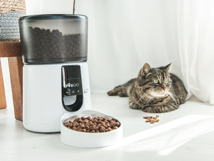 Automatic Pet Feeder