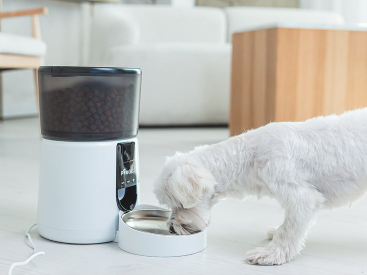 Automatic Pet Feeder