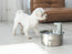 Smart Pet Fountain