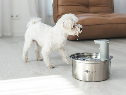 Smart Pet Fountain
