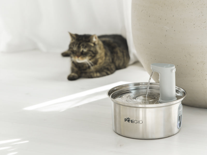 Smart Pet Fountain