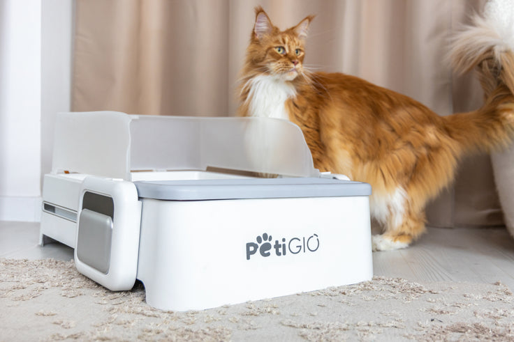 Smart Self-Cleaning Cat Litter Box