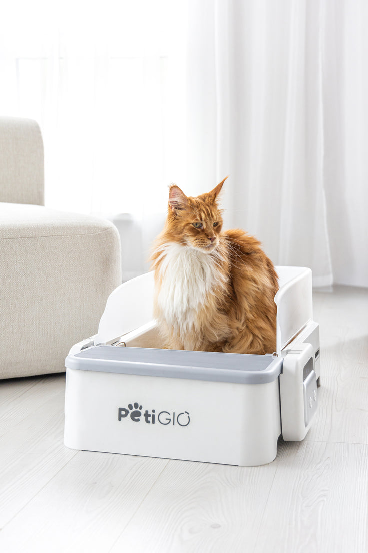 Smart Self-Cleaning Cat Litter Box