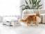 Smart Self-Cleaning Cat Litter Box